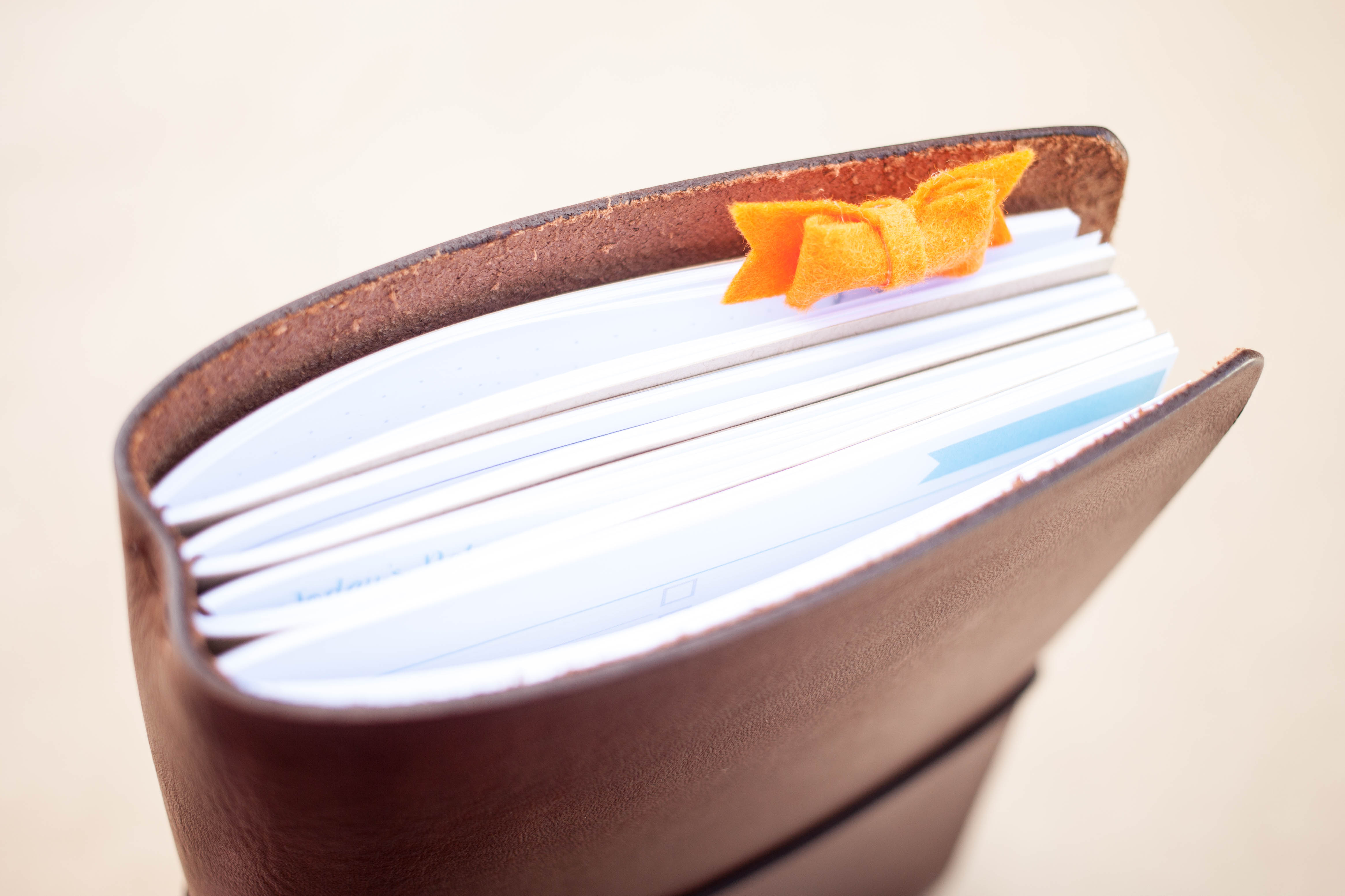 fatstack Sam Alderson