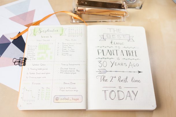 A bullet journal page featuring the quote "The best time to plant a tree is today," with elegant lettering and decorative elements.