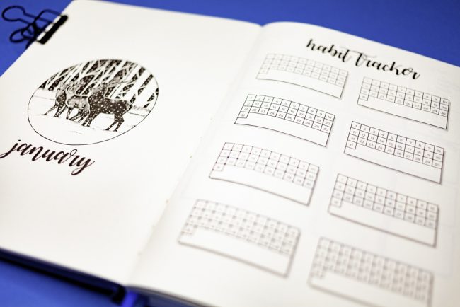 Scribbles That Matter Planner Review  Should You Buy The STM Bullet  Planner? 