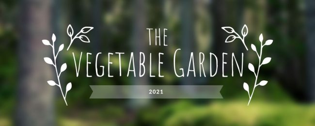 Garden Update: March 2021